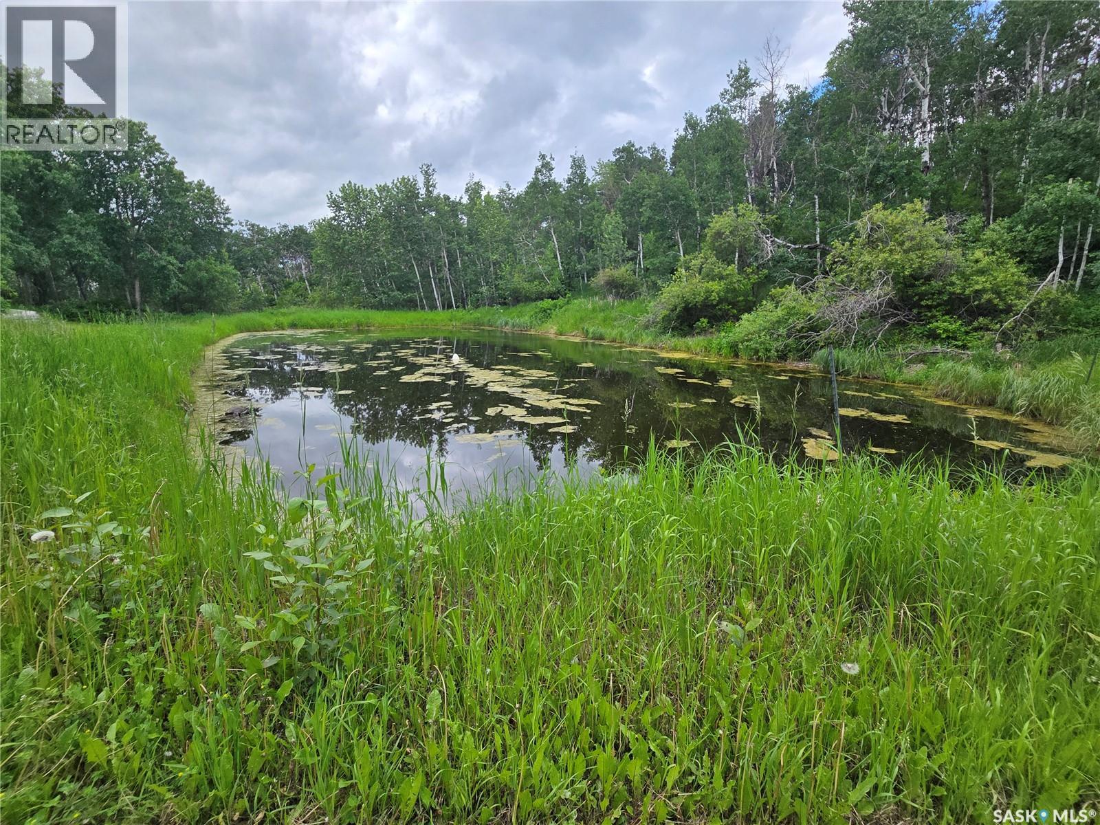 Smandych Acreage Property Photo 64