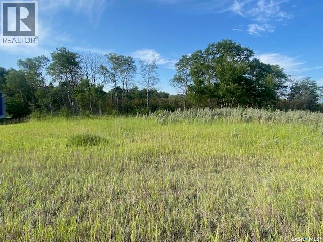 21 Acres Willow Cres Pike Lake Area Property Photo 4