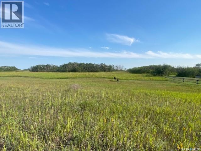 21 Acres Willow Cres Pike Lake Area Property Photo 5