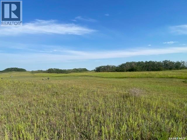 21 Acres Willow Cres Pike Lake Area Property Photo 6
