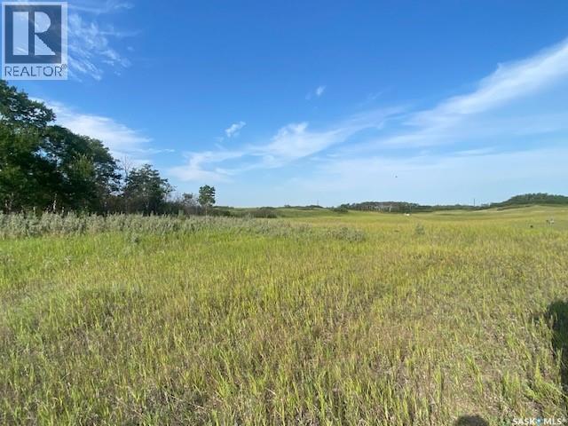21 Acres Willow Cres Pike Lake Area Property Photo 7
