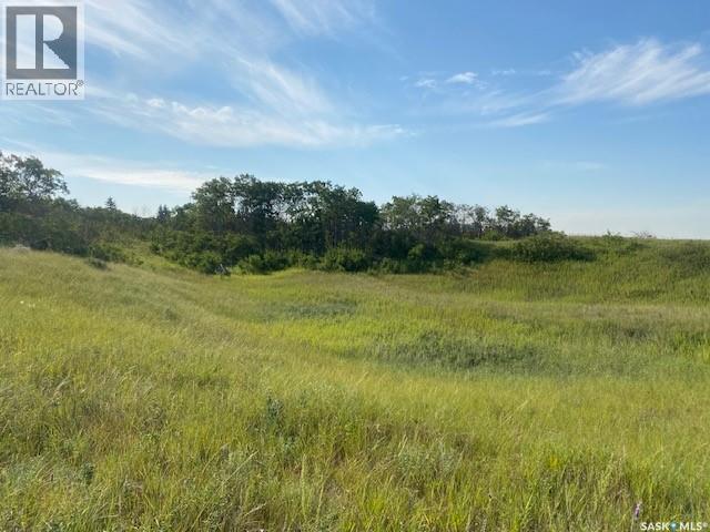 21 Acres Willow Cres Pike Lake Area Property Photo 9