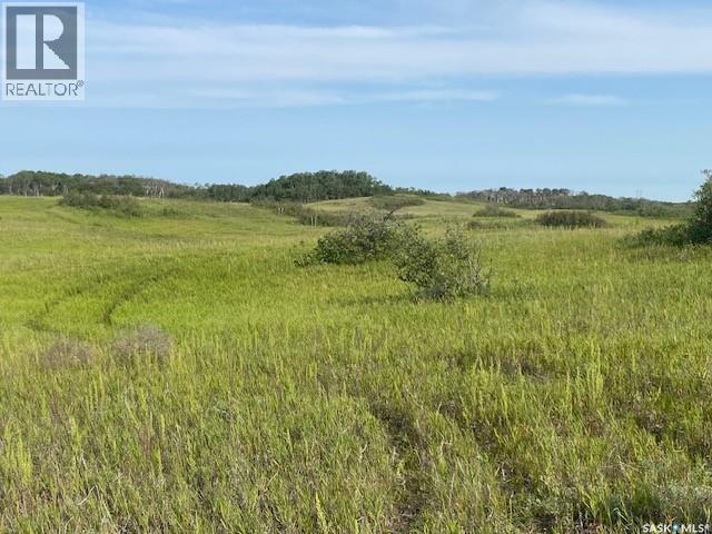 21 Acres Willow Cres Pike Lake Area Property Photo 10