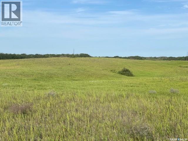 21 Acres Willow Cres Pike Lake Area Property Photo 11
