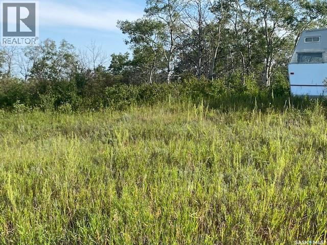 21 Acres Willow Cres Pike Lake Area Property Photo 12