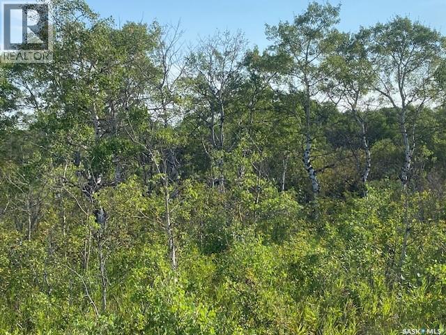 21 Acres Willow Cres Pike Lake Area Property Photo 13