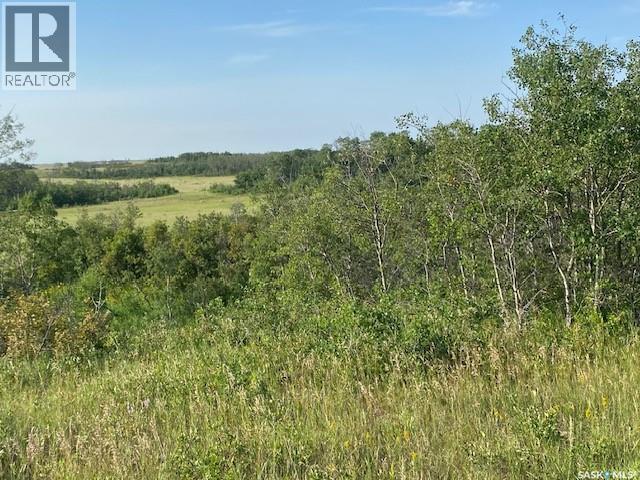21 Acres Willow Cres Pike Lake Area Property Photo 14