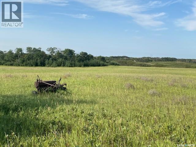 21 Acres Willow Cres Pike Lake Area Property Photo 16