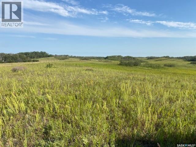 21 Acres Willow Cres Pike Lake Area Property Photo 17