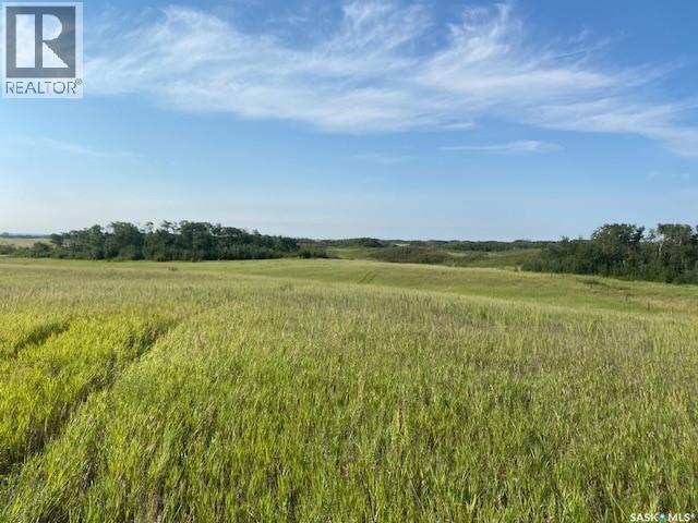 21 Acres Willow Cres Pike Lake Area Property Photo 18