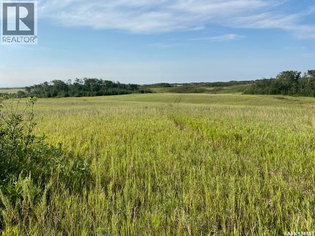 21 Acres Willow Cres Pike Lake Area Property Photo 21