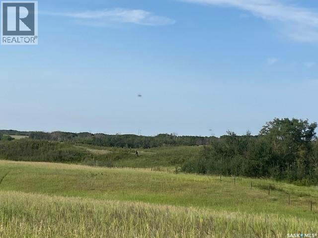 21 Acres Willow Cres Pike Lake Area Property Photo 22
