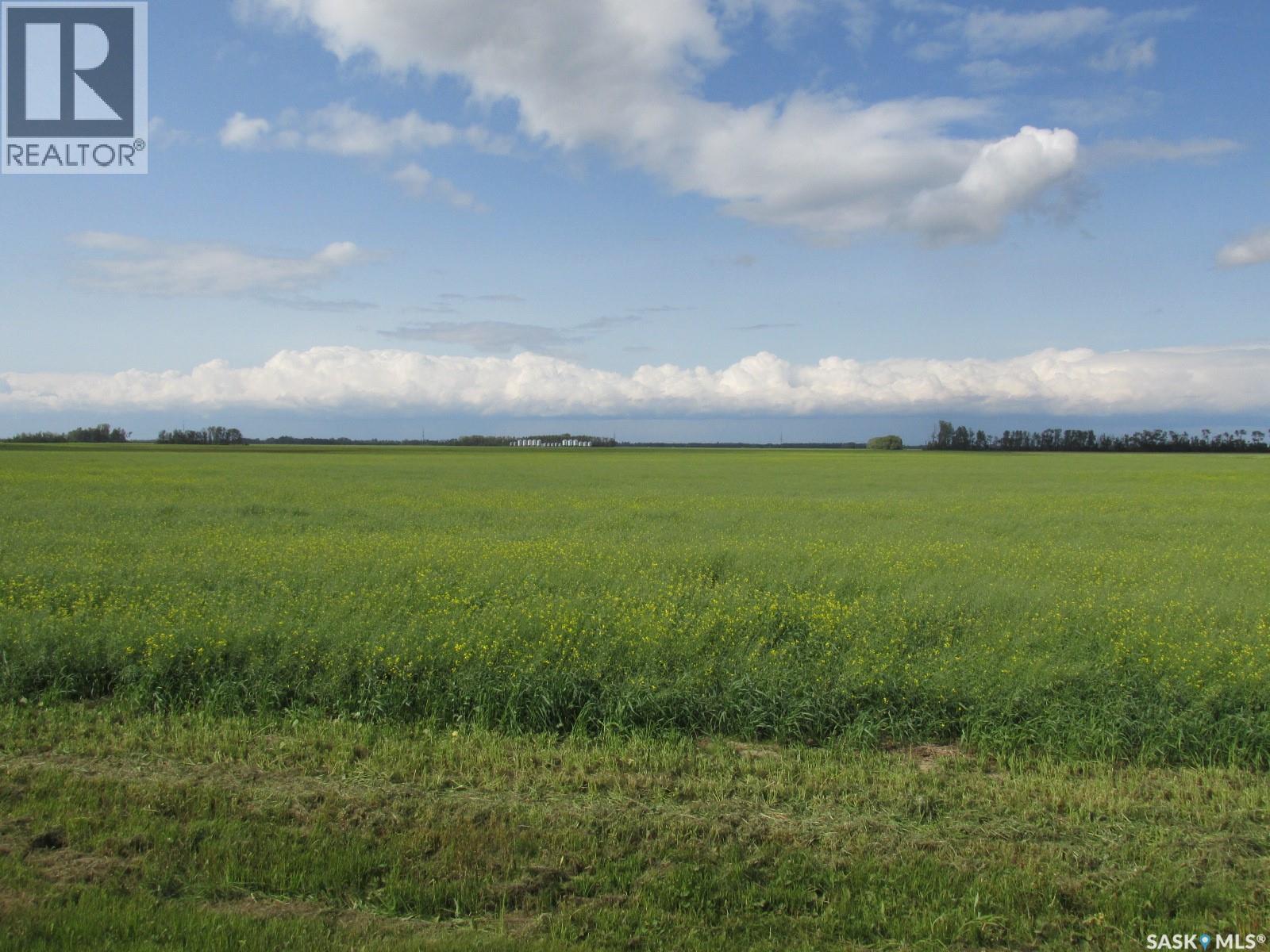 Land East Of Nipawin Property Photo 3