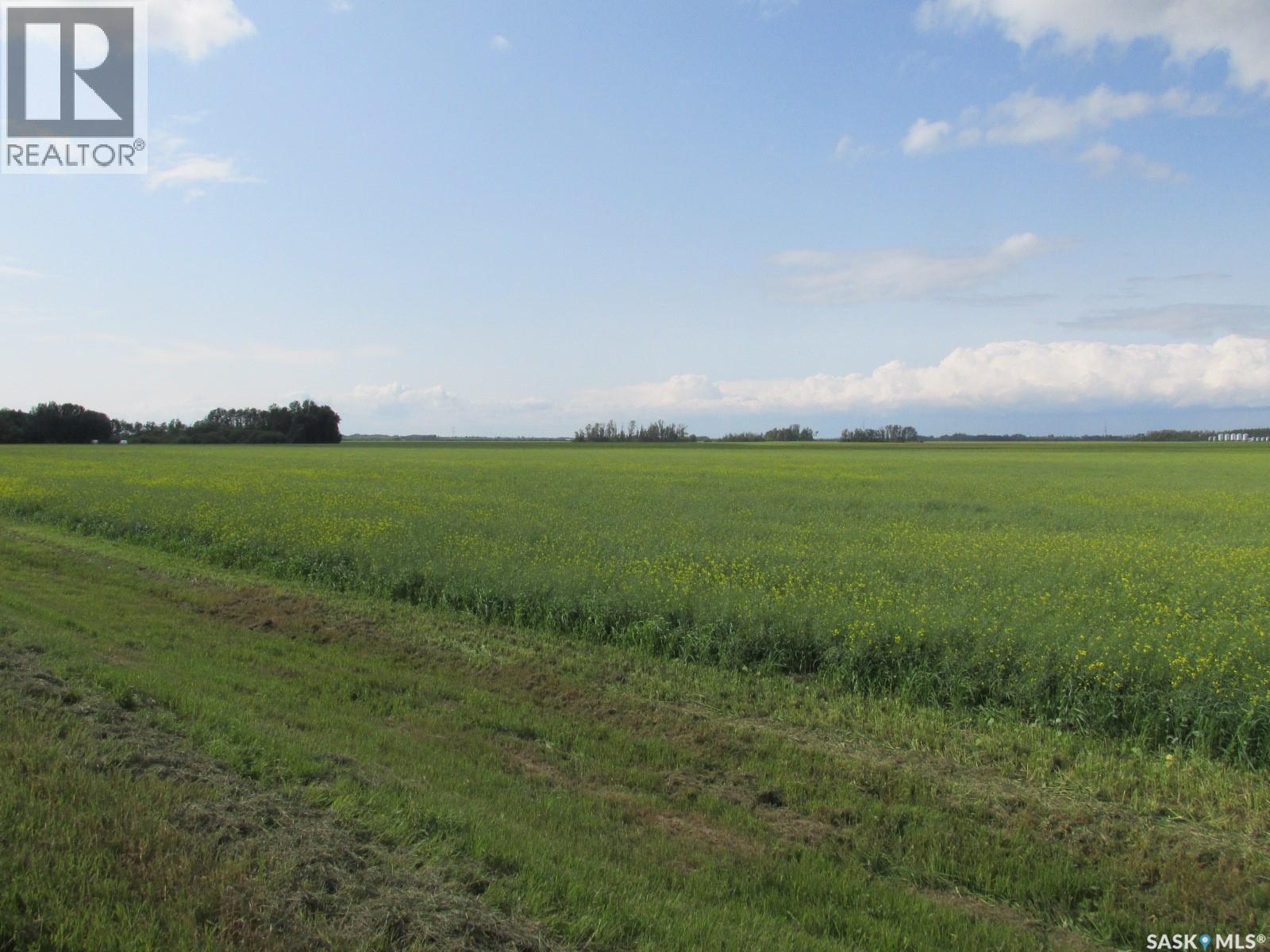 Land East Of Nipawin Property Photo 4