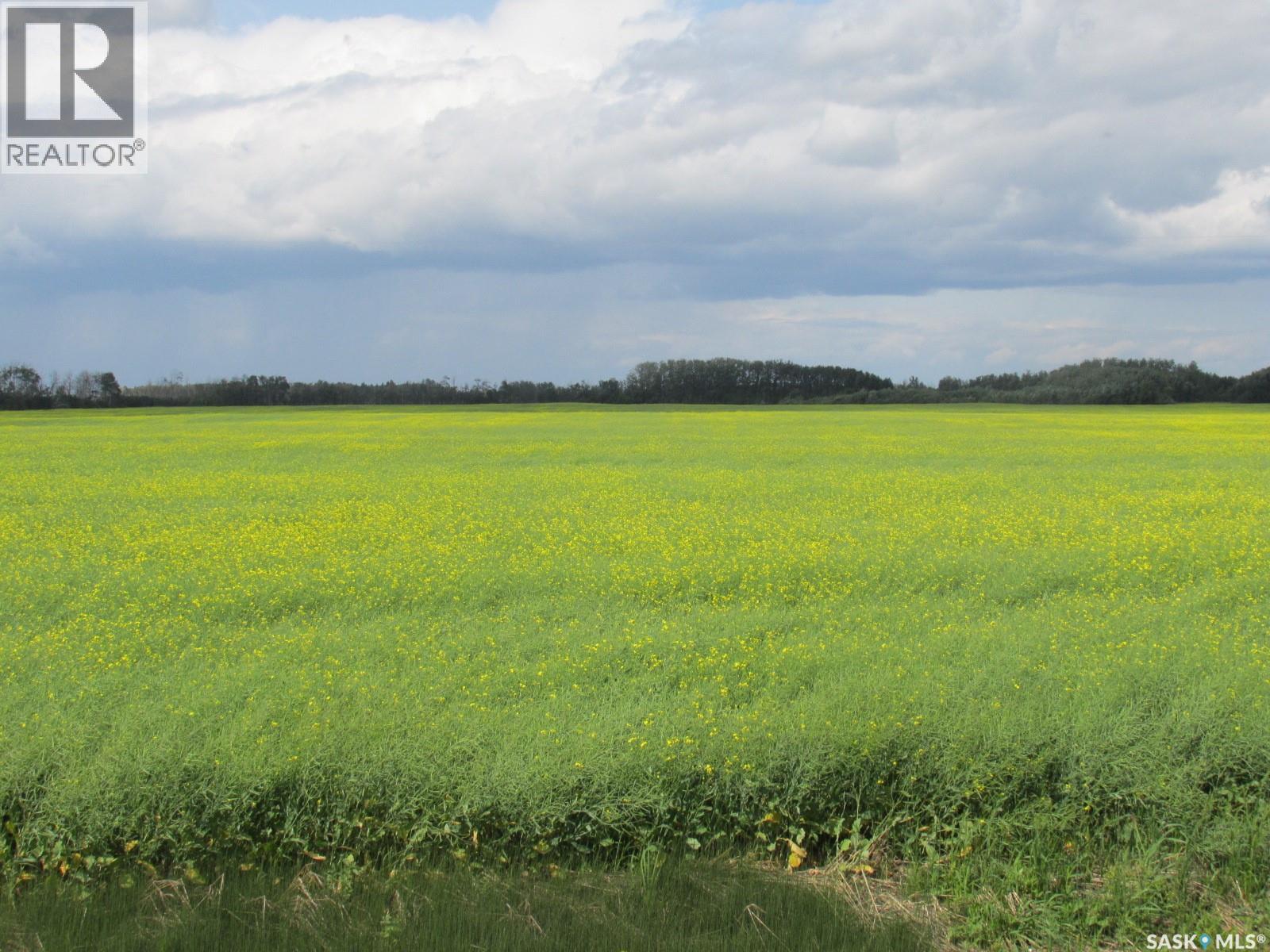 Land East Of Nipawin Property Photo 21