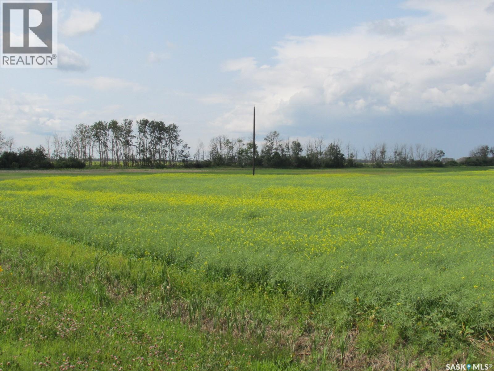 Land East Of Nipawin Property Photo 22