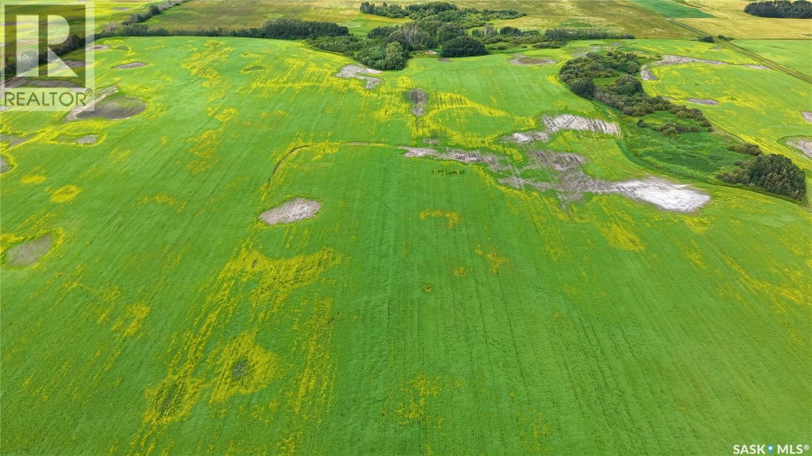 Land East Of Nipawin Property Photo 34