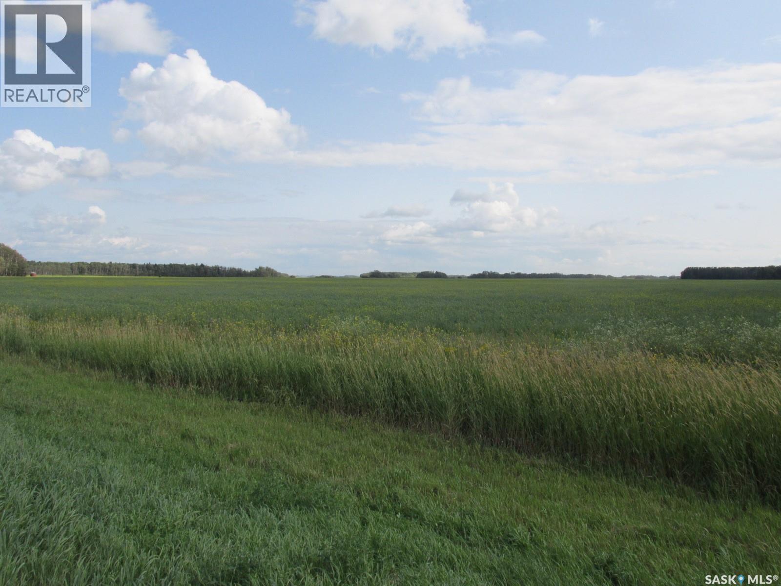 Land East Of Nipawin Property Photo 38