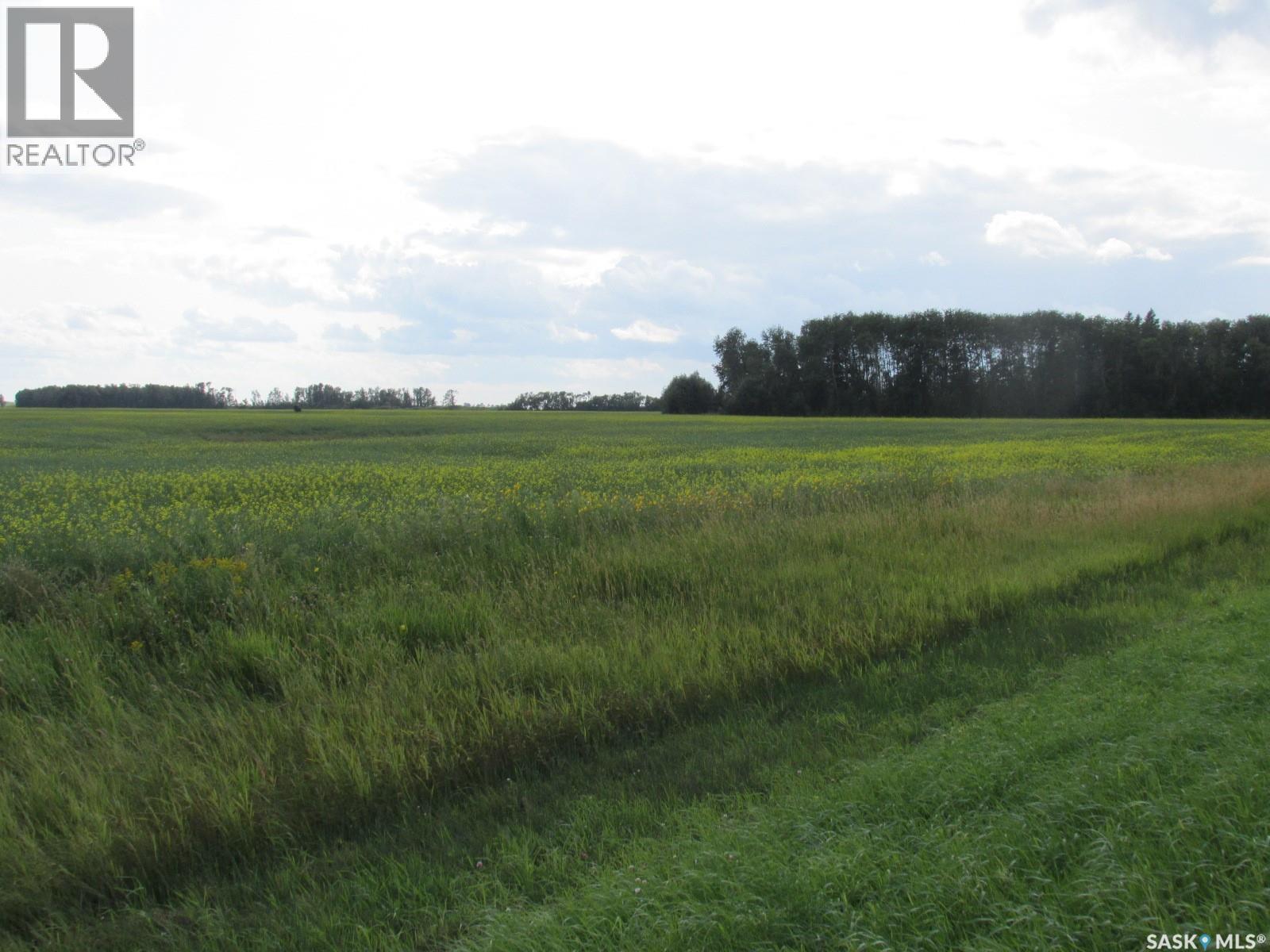 Land East Of Nipawin Property Photo 39