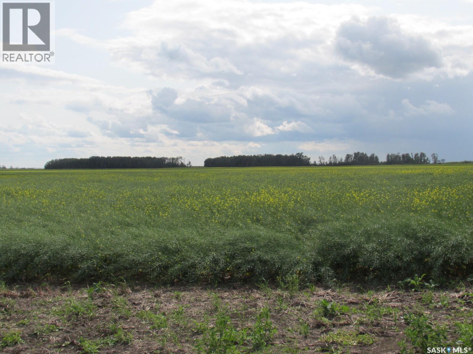Land East Of Nipawin Property Photo 41