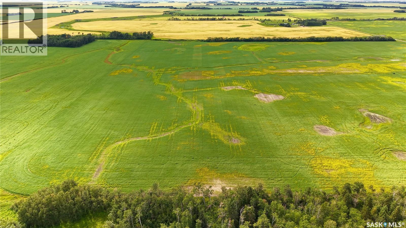 Land East Of Nipawin Property Photo 50