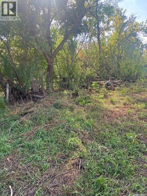 316 Evenson Avenue Property Photo 10