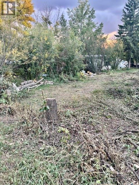 316 Evenson Avenue Property Photo 14
