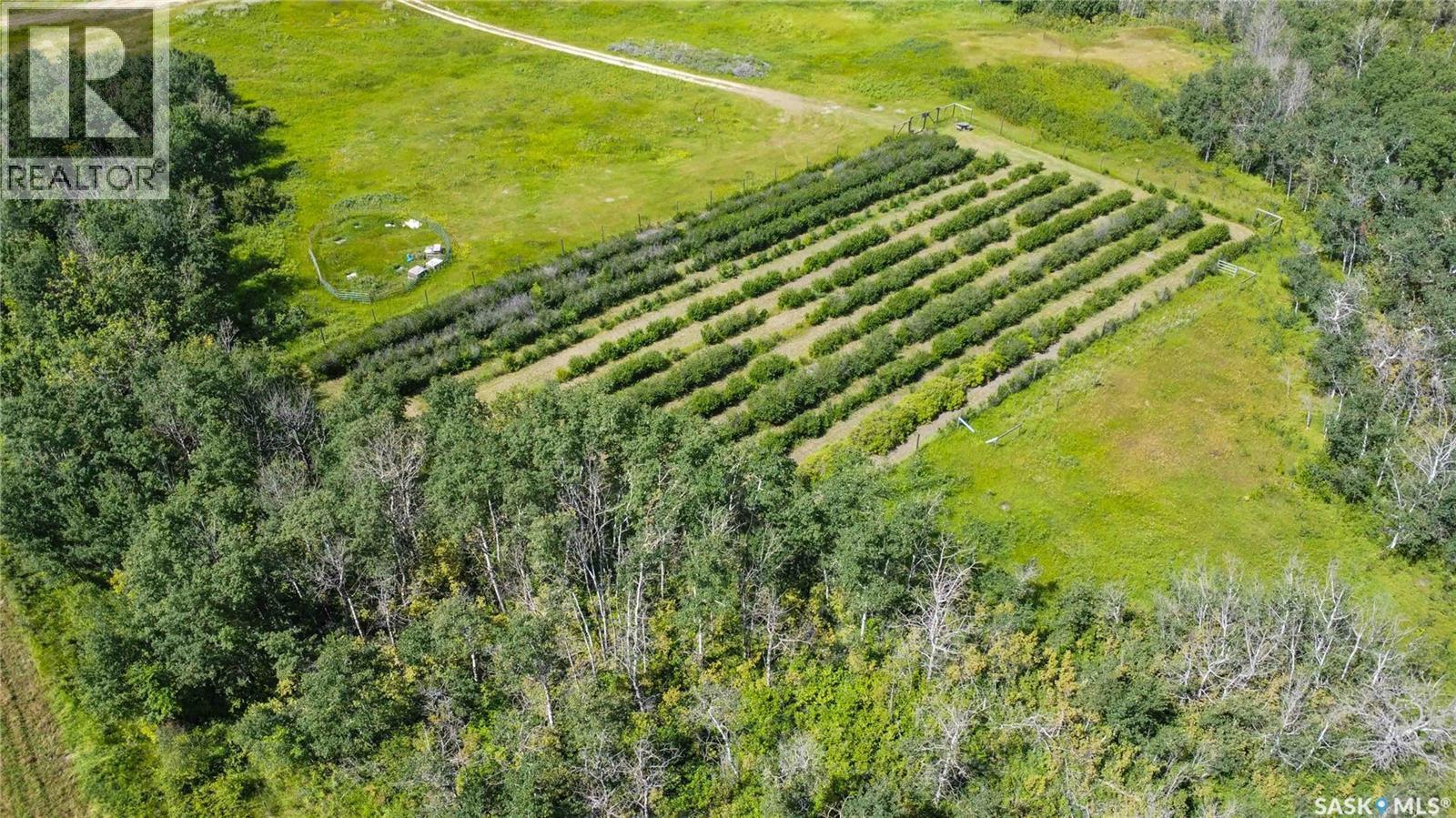 Corman Park River View 63 Acres Property Photo 4