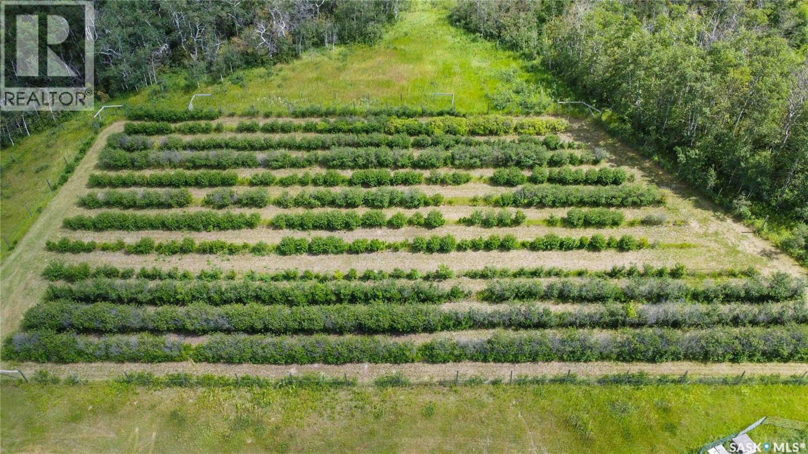 Corman Park River View 63 Acres Property Photo 5