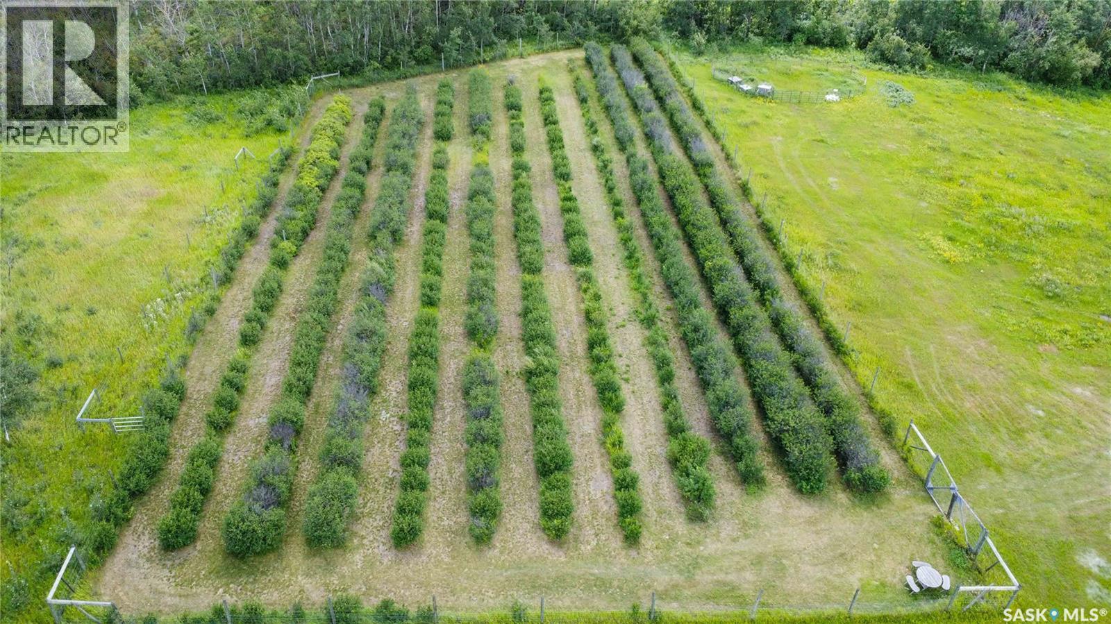 Corman Park River View 63 Acres Property Photo 6