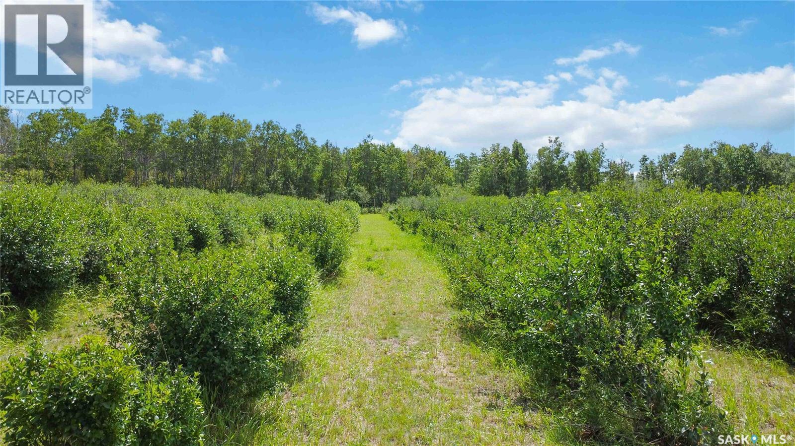 Corman Park River View 63 Acres Property Photo 7