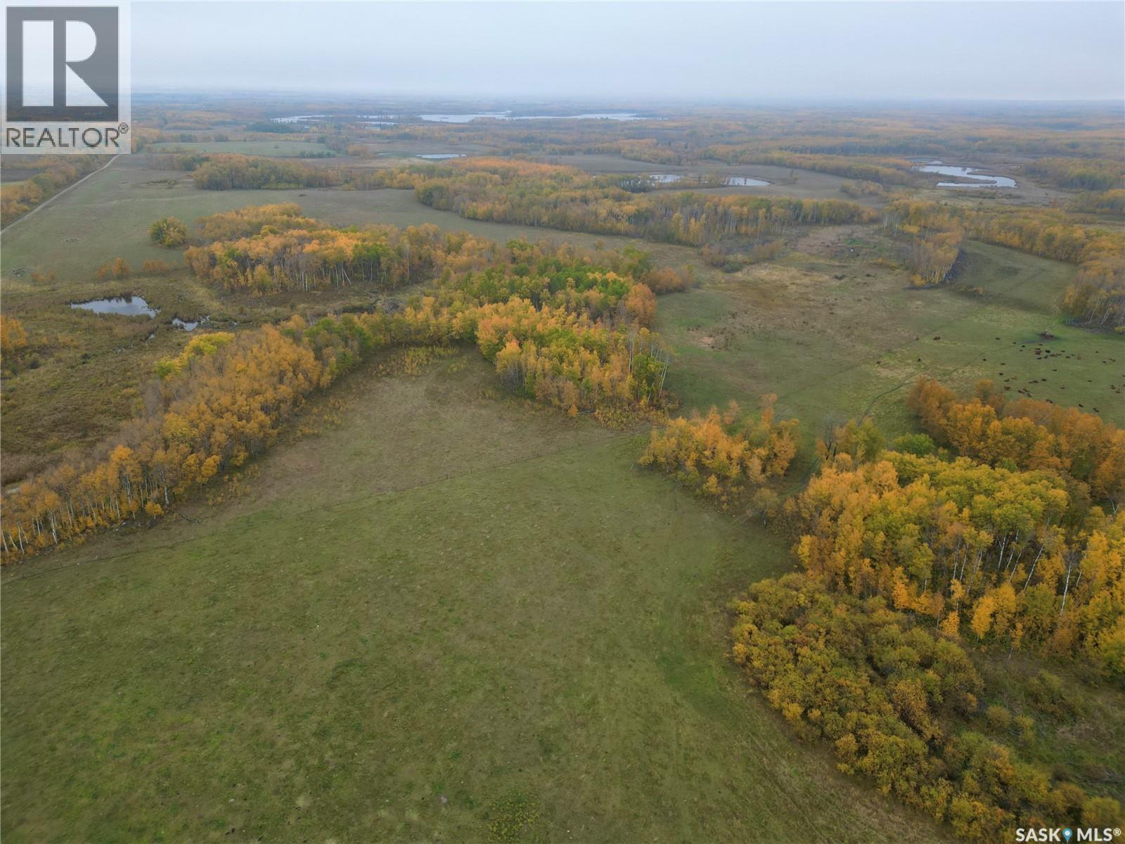 Larson Lake Ranch & Lakefront Property Property Photo 36