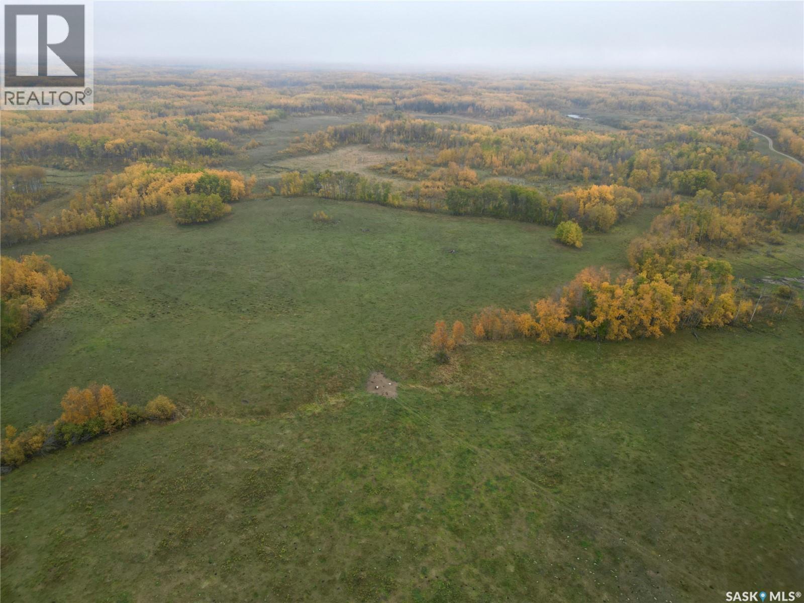 Larson Lake Ranch & Lakefront Property Property Photo 39