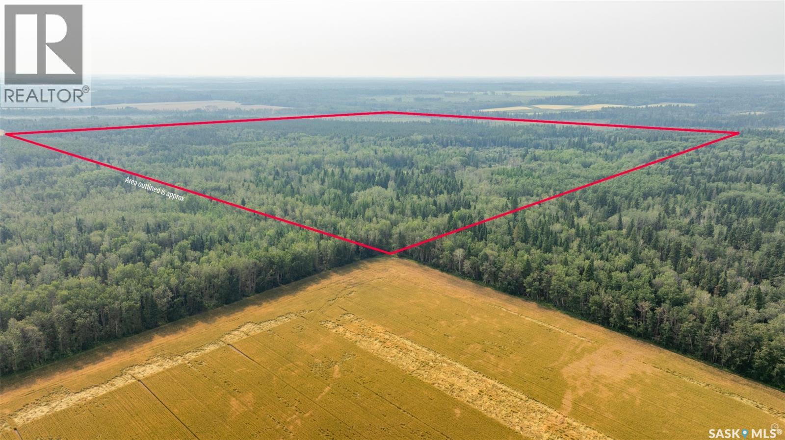 Torch River Land Property Photo 1