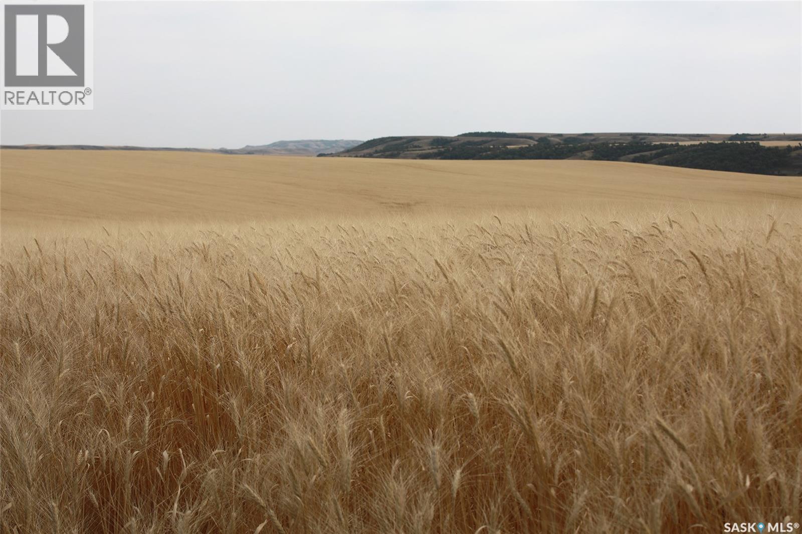 214.99 Acres Grainland Near Willow Bunch Property Photo 1