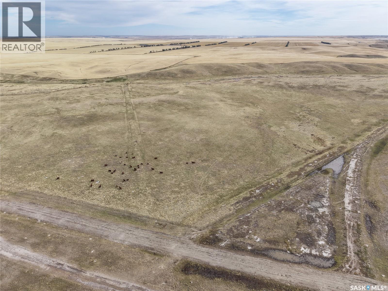 531.43 Acres Mixed Use Land Near Willow Bunch Property Photo 7