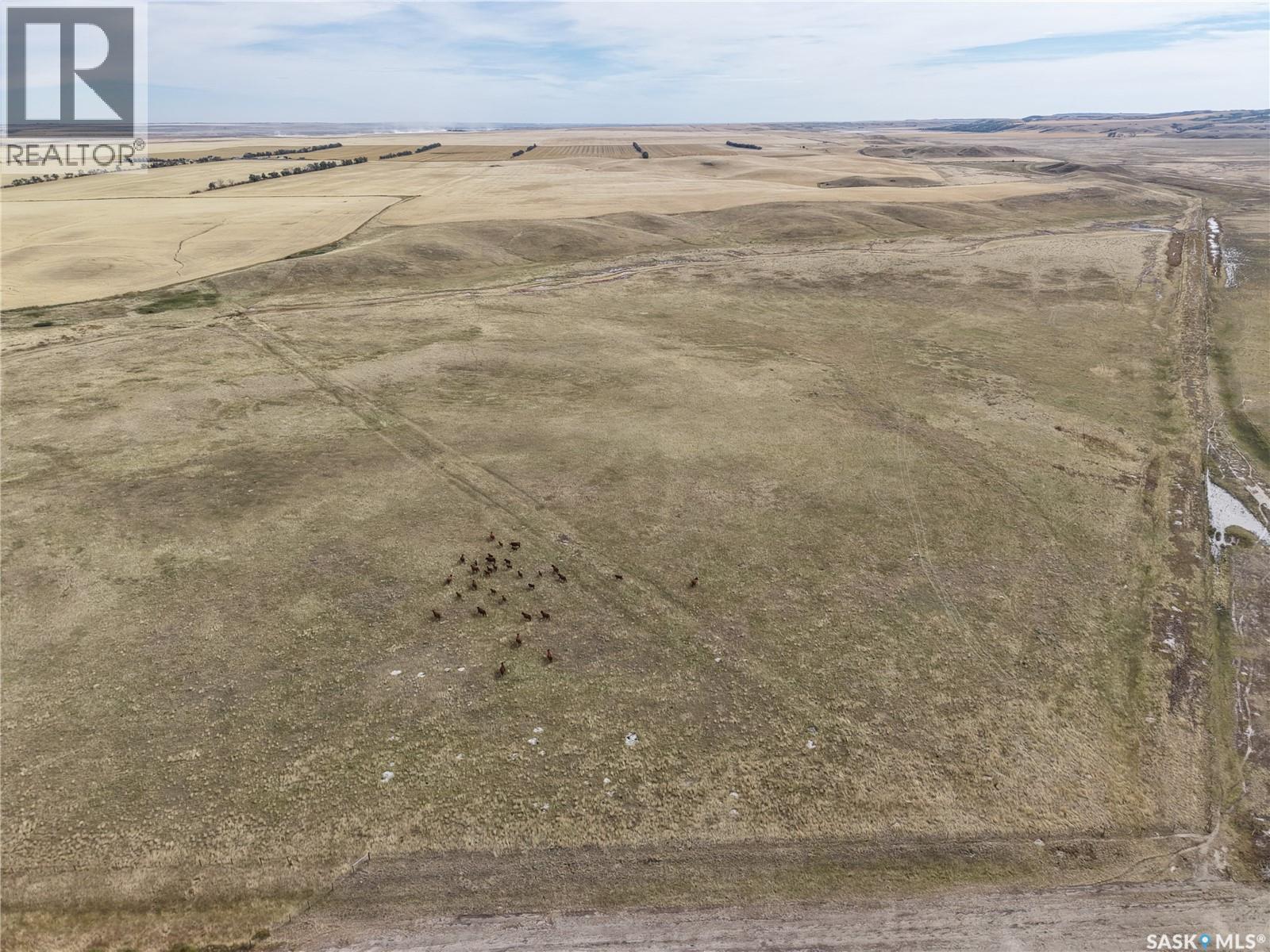 531.43 Acres Mixed Use Land Near Willow Bunch Property Photo 8
