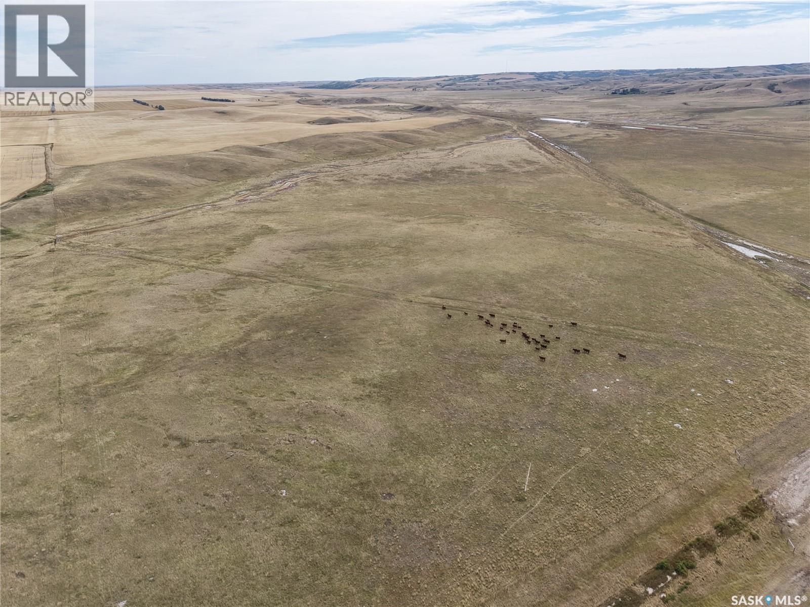 531.43 Acres Mixed Use Land Near Willow Bunch Property Photo 9