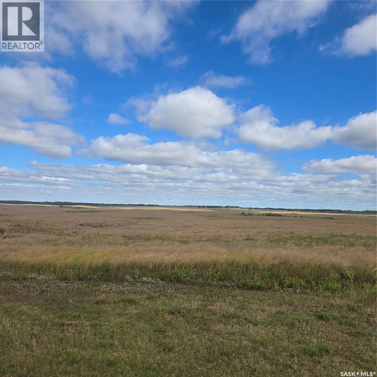 Rm214 - Collins Property Photo 4