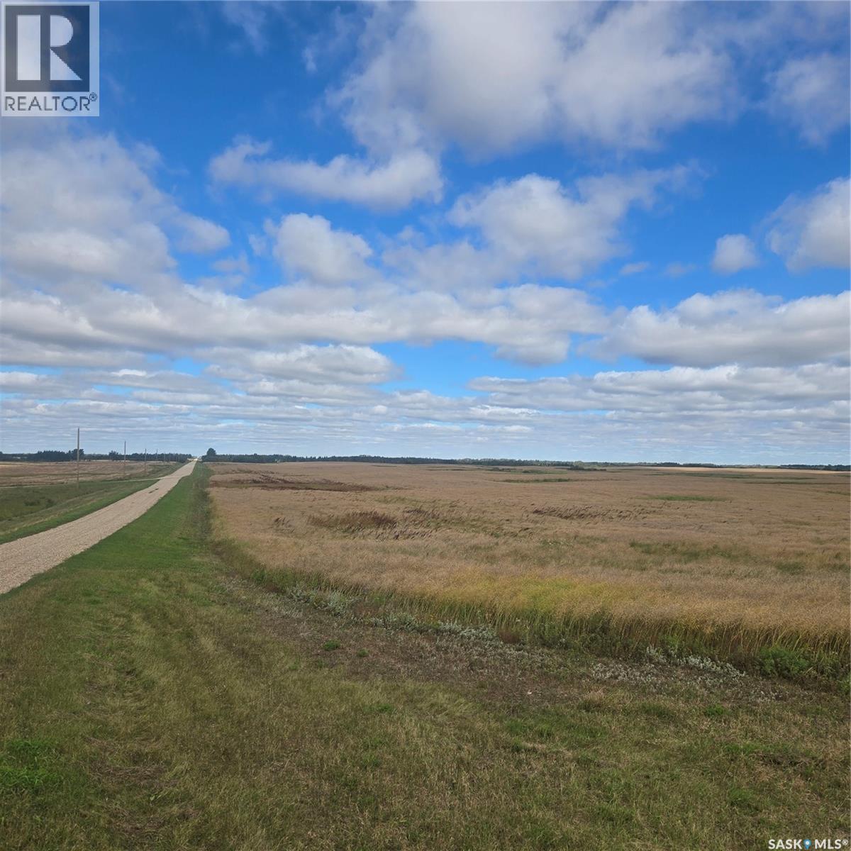 Rm214 - Collins Property Photo 8