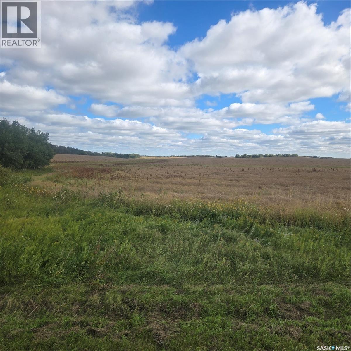 Rm214 - Collins Property Photo 10