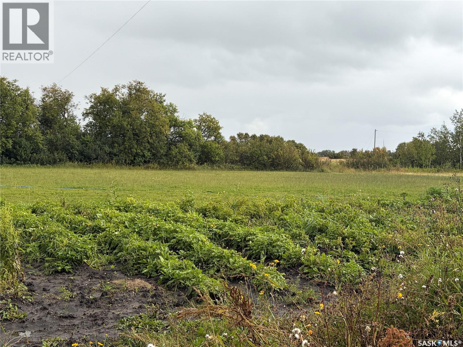 Margo Acreage Property Photo 40