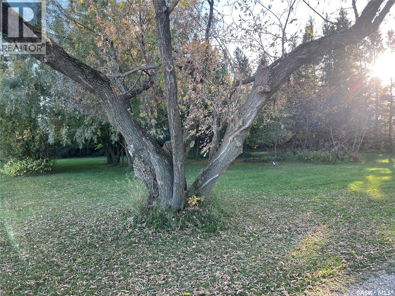 Bildstein Acreage Property Photo 41