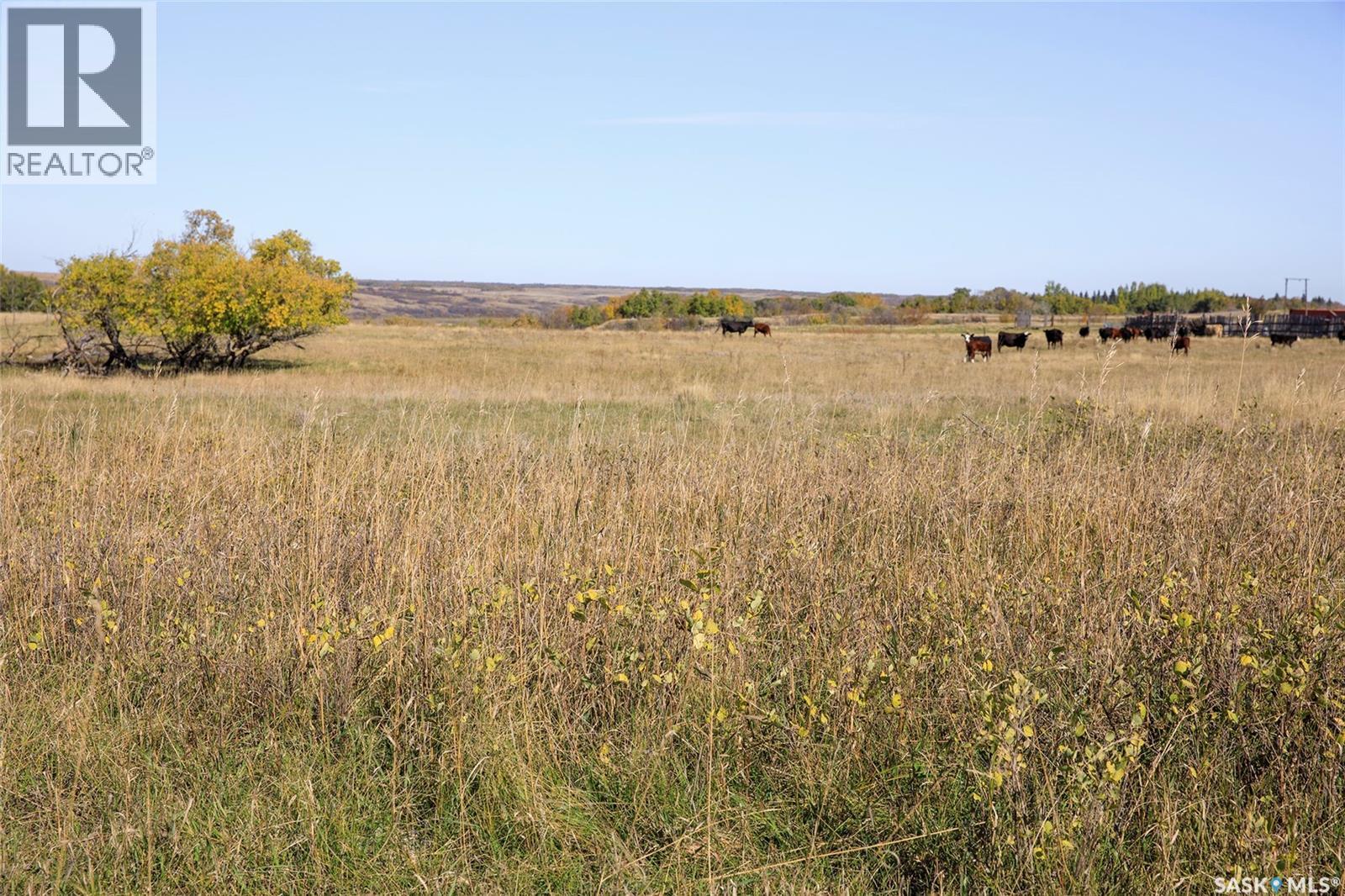 Outlook 258 Acres Property Photo 20