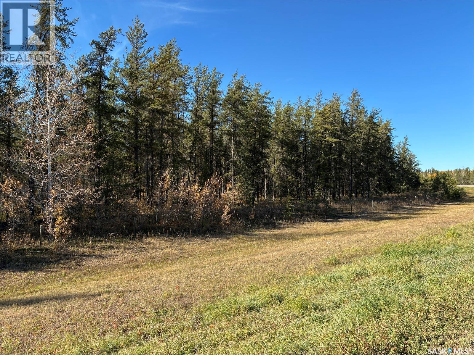 Lariviere Land - 152.9 Acres Property Photo 1