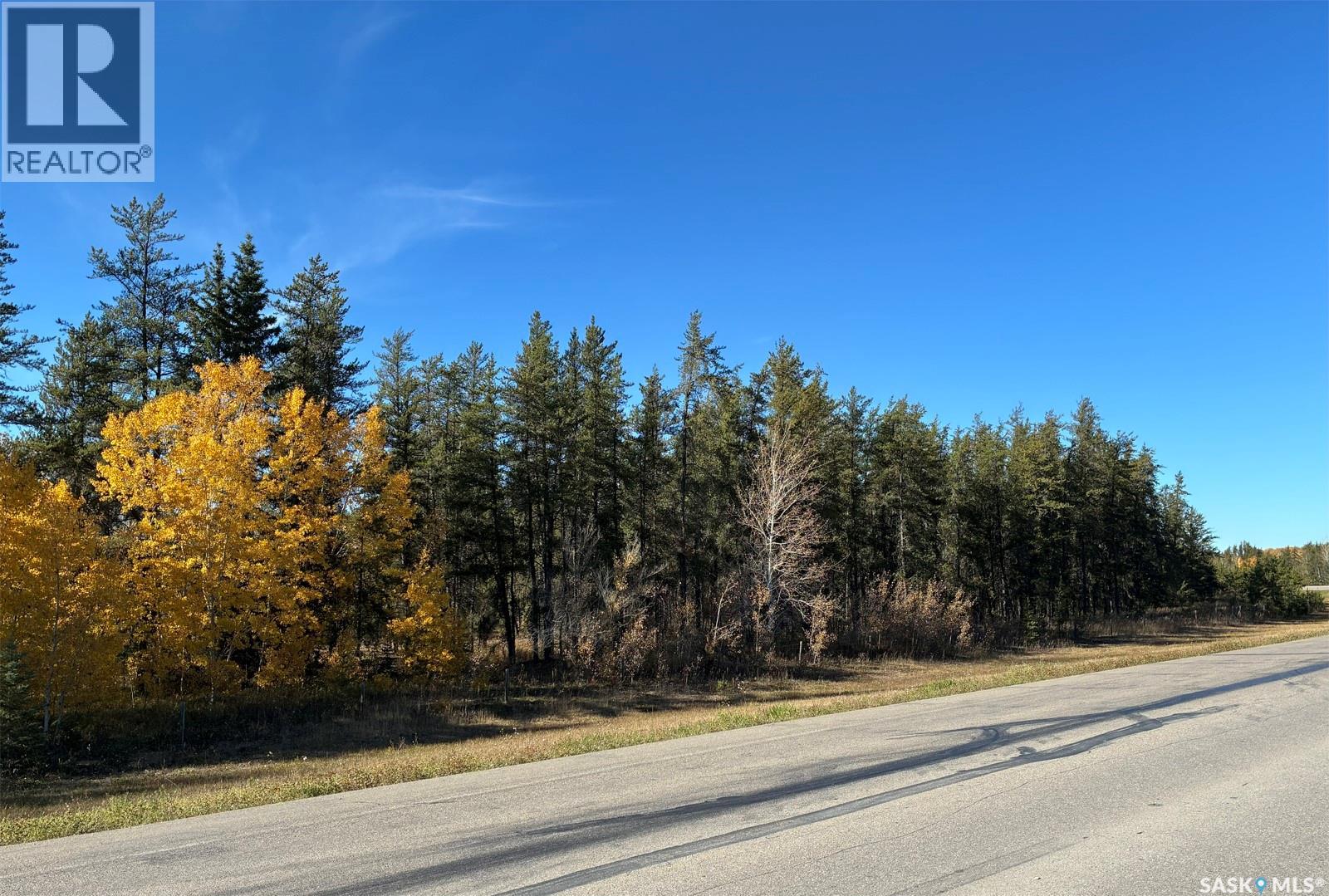 Lariviere Land - 152.9 Acres Property Photo 3