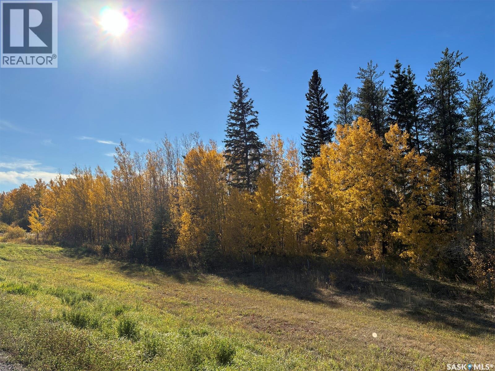 Lariviere Land - 152.9 Acres Property Photo 4