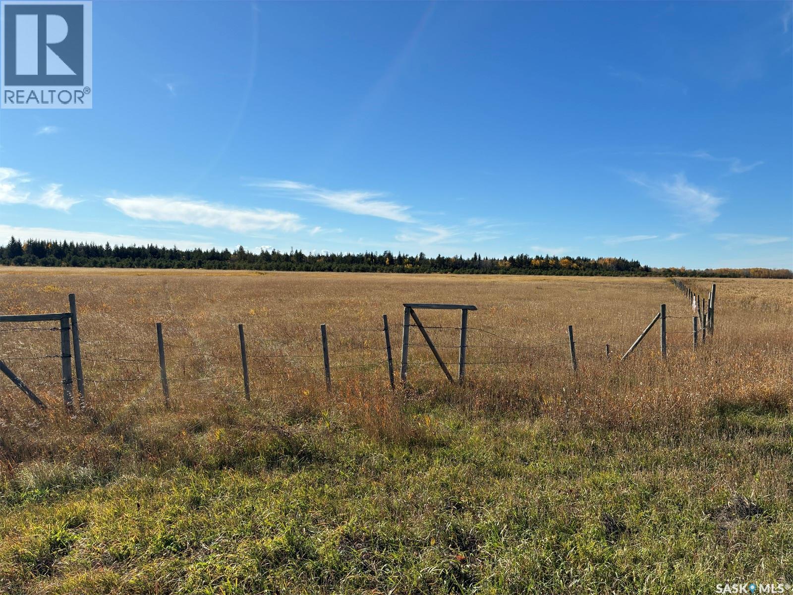 Lariviere Land 86.15 Acres Property Photo 2
