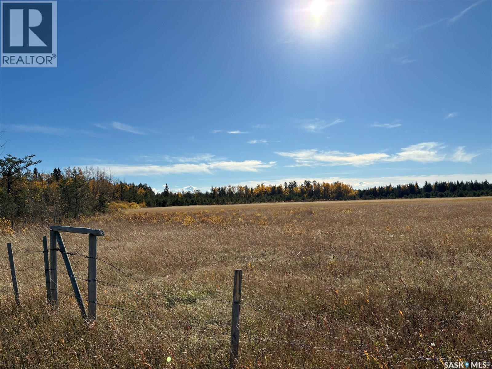 Lariviere Land 86.15 Acres Property Photo 3