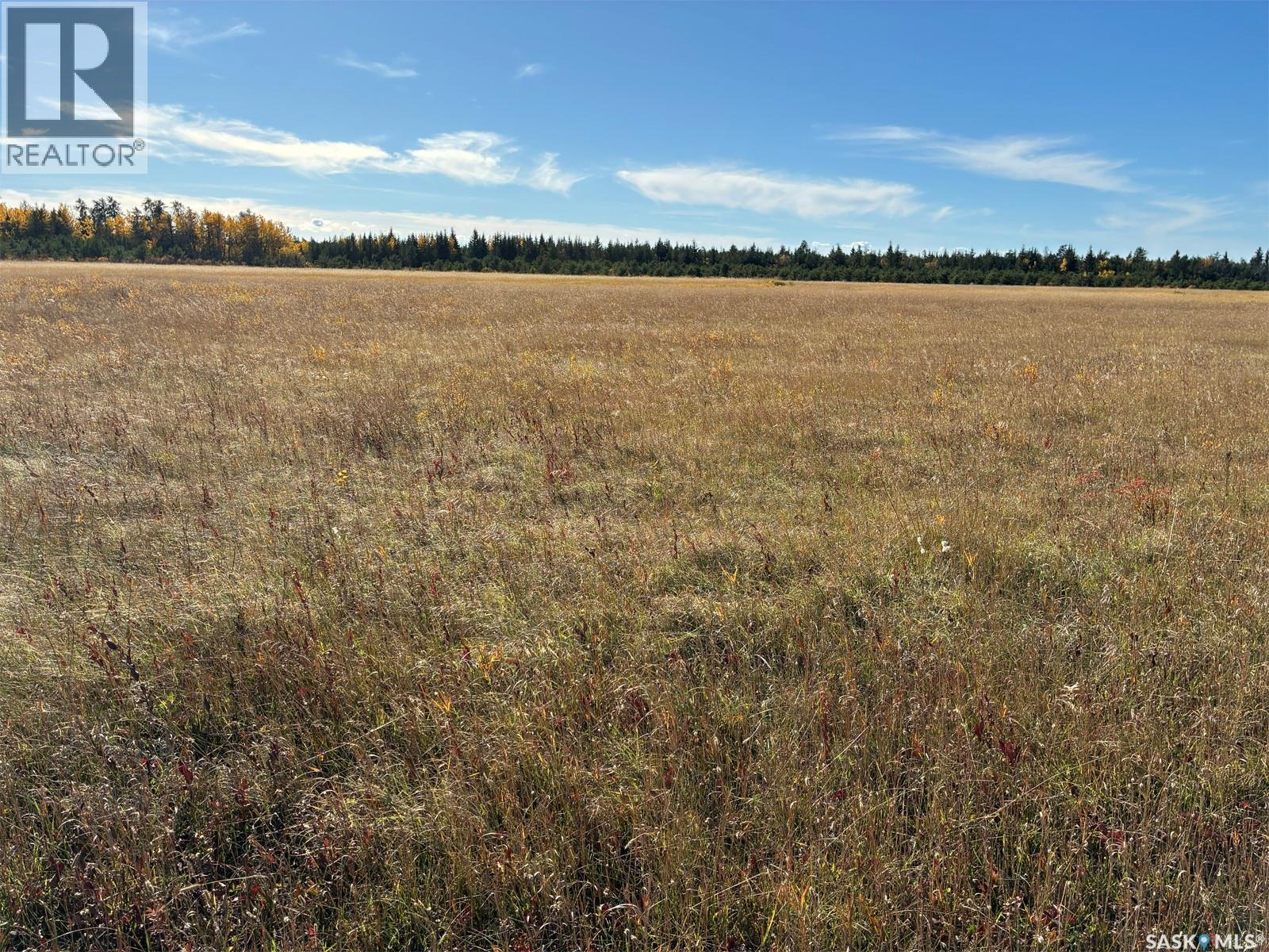Lariviere Land 86.15 Acres Property Photo 4